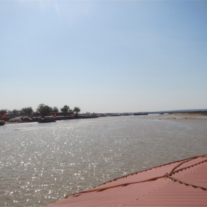 ��˾Ա���ƺ�̲���Ϲ����������