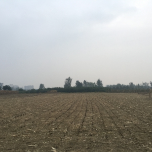 **��԰������·�ϲ���н��蹤ҵ�õء���������Ŀ����